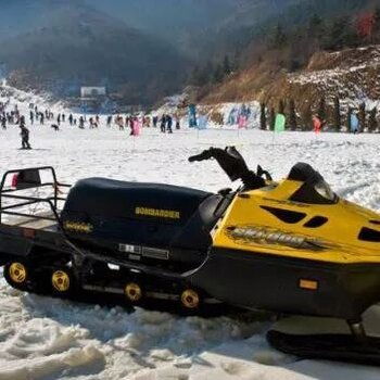 汽车改雪地摩托多少钱