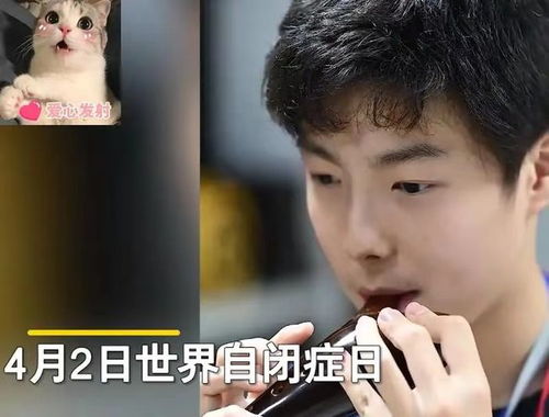 孤独症男孩因高颜值走红妈妈发声