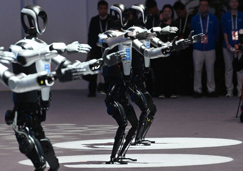 美军在立陶宛失踪4名士兵均已死亡