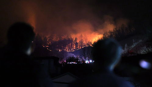 美军在立陶宛失踪4名士兵均已死亡