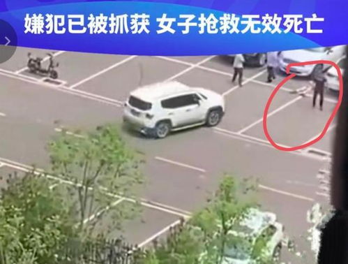 男子开车反复碾压他人致其身亡