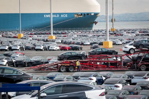 国外汽车供应链损失多少