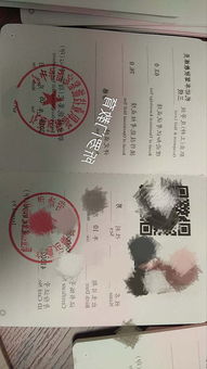 汽车教练证收入多少