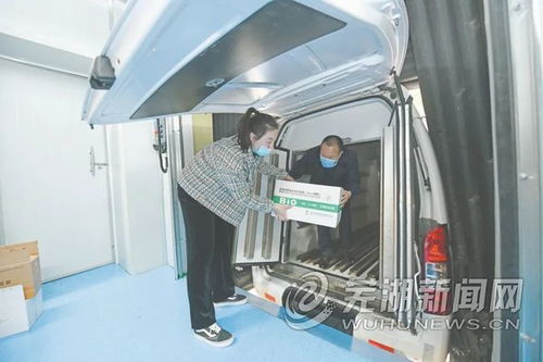 芜湖汽车轮渡多少钱