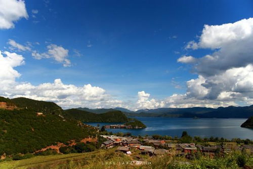 丽江汽车翻译费用多少