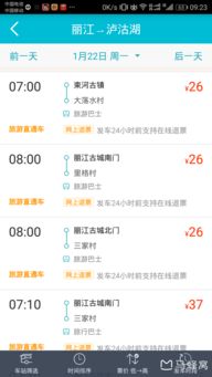 丽江汽车翻译费用多少