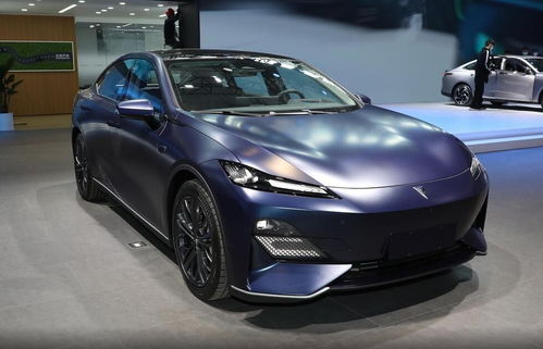 琛蓝汽车多少钱