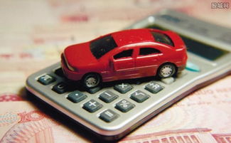 汽车一年强交险多少