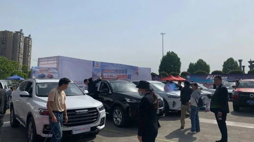 东至到池州汽车有多少班