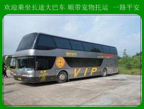 慈溪到朱家尖多少钱汽车