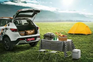 望远汽车救援多少费用