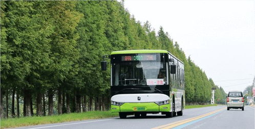 苏州到庐江汽车多少班车 苏州到庐江汽车多少班车