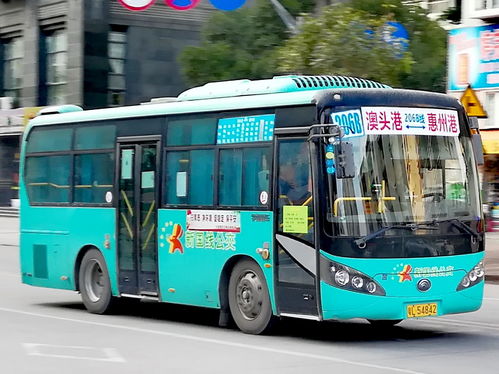 大亚湾有多少公共汽车