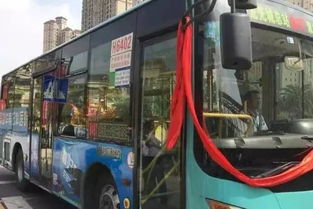 大亚湾有多少公共汽车