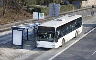 大亚湾有多少公共汽车