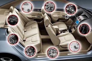 汽车内部净宽尺寸多少