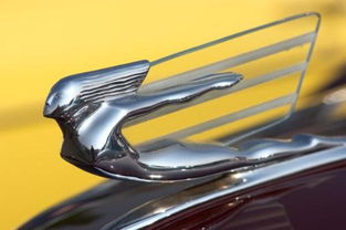 现在汽车历年型号是多少