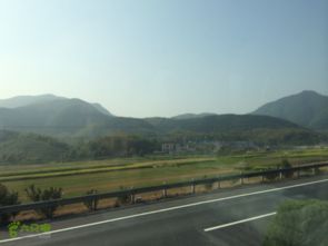 杭州到临海汽车多少公里