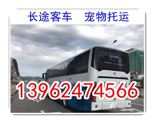 射阳到赣榆汽车票多少