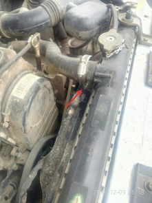 汽车后轮漏油需要多少钱