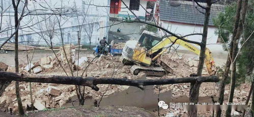 为何美国被关税乱拳打进紧急状态 为何美国被关税乱拳打进紧急状态