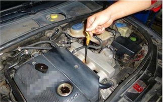 汽车多少时间换机油