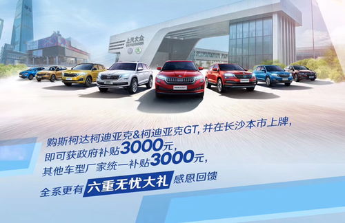 罗湖的汽车消费补贴多少