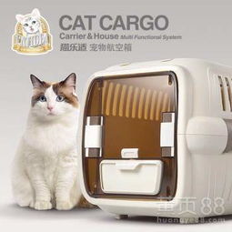 猫咪汽车托运多少钱 猫咪汽车托运多少钱
