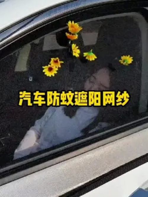 汽车遮阳纱窗价格多少