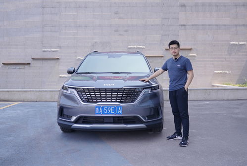 起亚汽车陪练多少钱