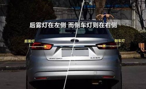 汽车倒车灯多少钱