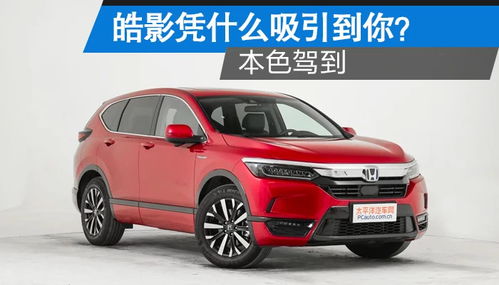 南平汽车改装费用多少