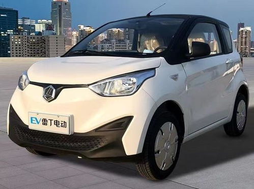 雷丁电动汽车首付多少 雷丁电动汽车首付多少