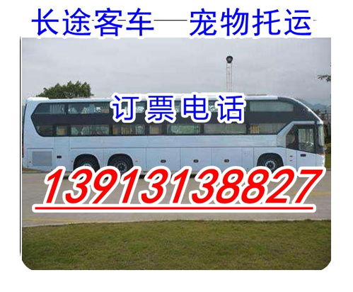内乡到射阳多少钱汽车