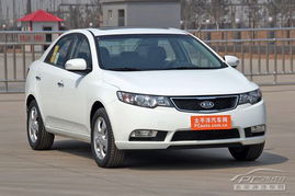 福瑞迪汽车多少钱