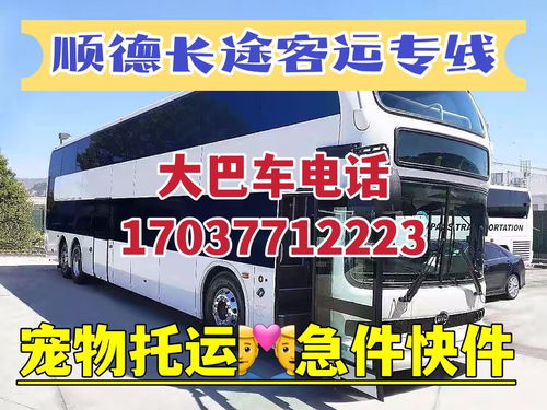 普宁到揭阳的汽车多少钱