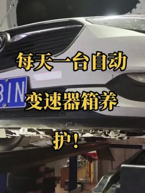 汽车不开多少天保养