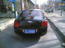 我国豪华汽车有多少辆