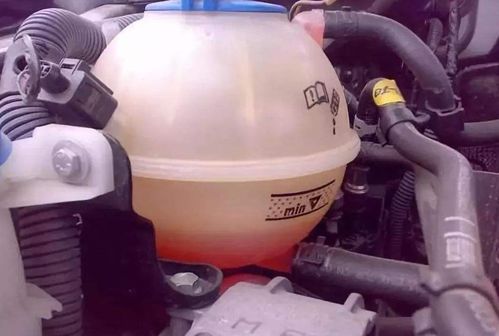 汽车更换防冻液多少钱