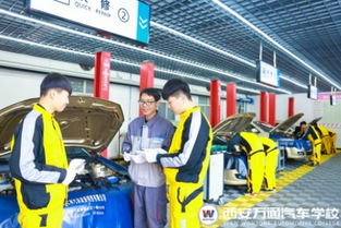 灵宝到开封汽车多少钱 灵宝到开封汽车多少钱