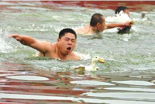 水上汽车高度是多少 水上汽车高度是多少