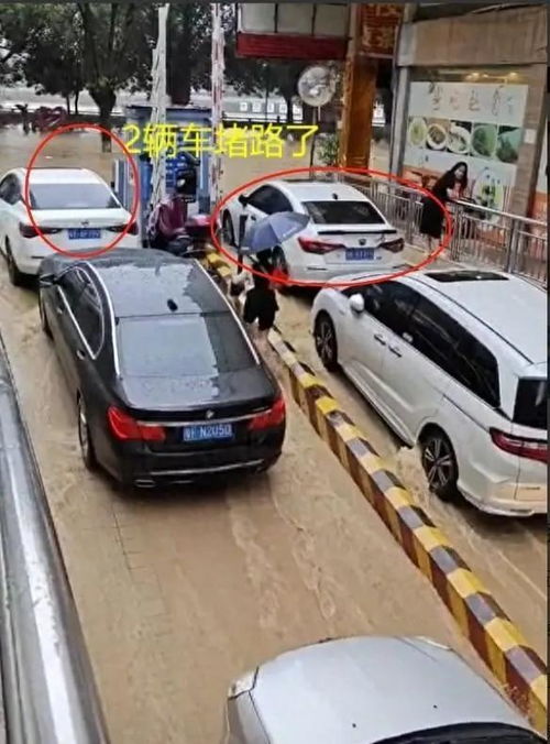 广东车辆有多少台汽车