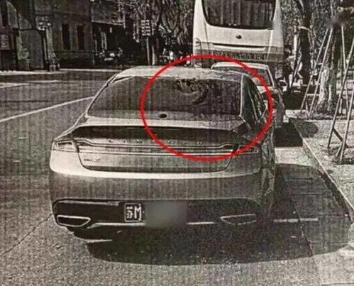 葡萄牙汽车损失多少