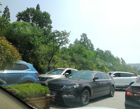 灵山卧铺汽车票多少 灵山卧铺汽车票多少