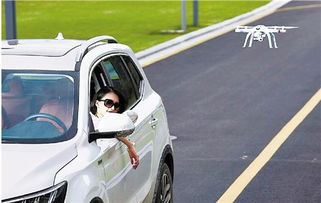 汽车倒航多少钱