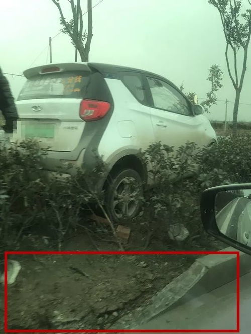 涡阳到蒙城汽车多少钱