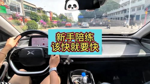 韶关汽车陪练价格多少