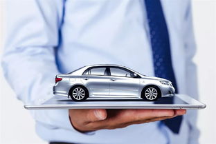 汽车穿褂多少钱