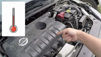 汽车怠速一般多少转