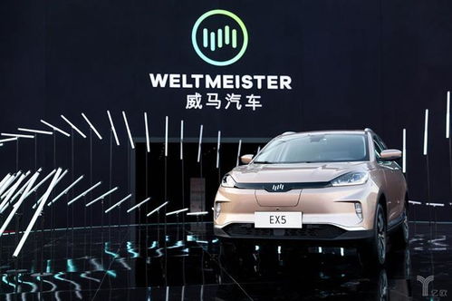 威马汽车价格是多少 威马汽车价格是多少